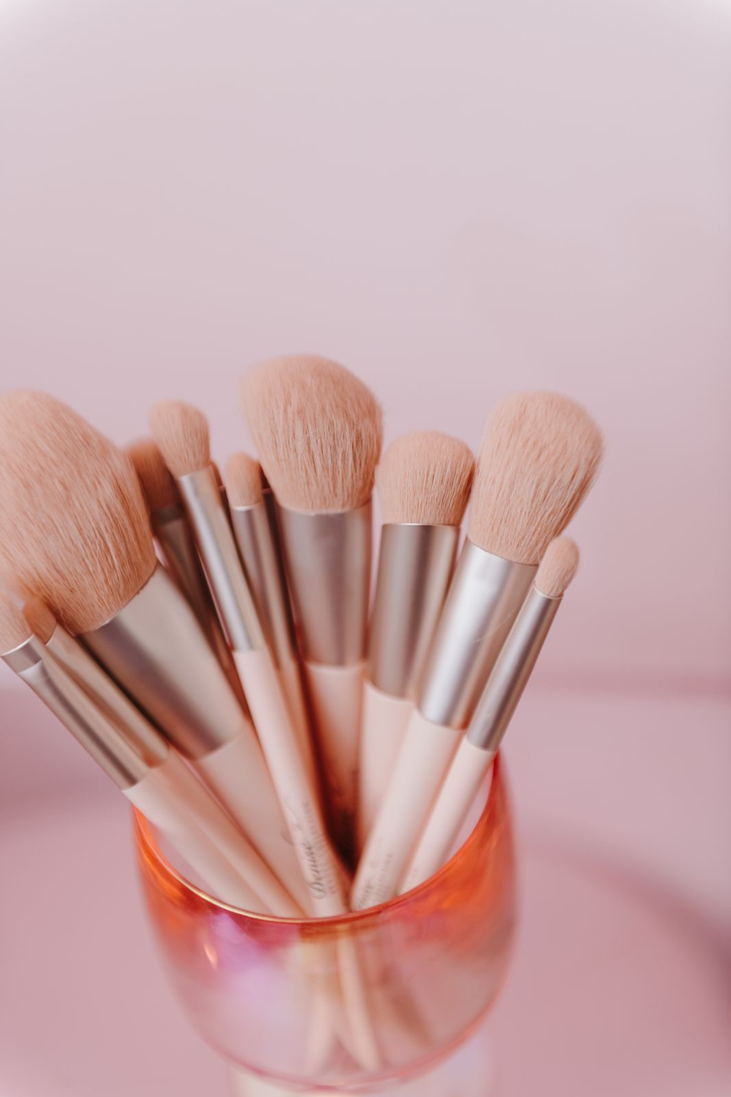 Makeup Brush Set